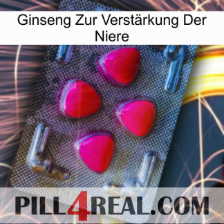 Ginseng Zur Verstärkung Der Niere 13